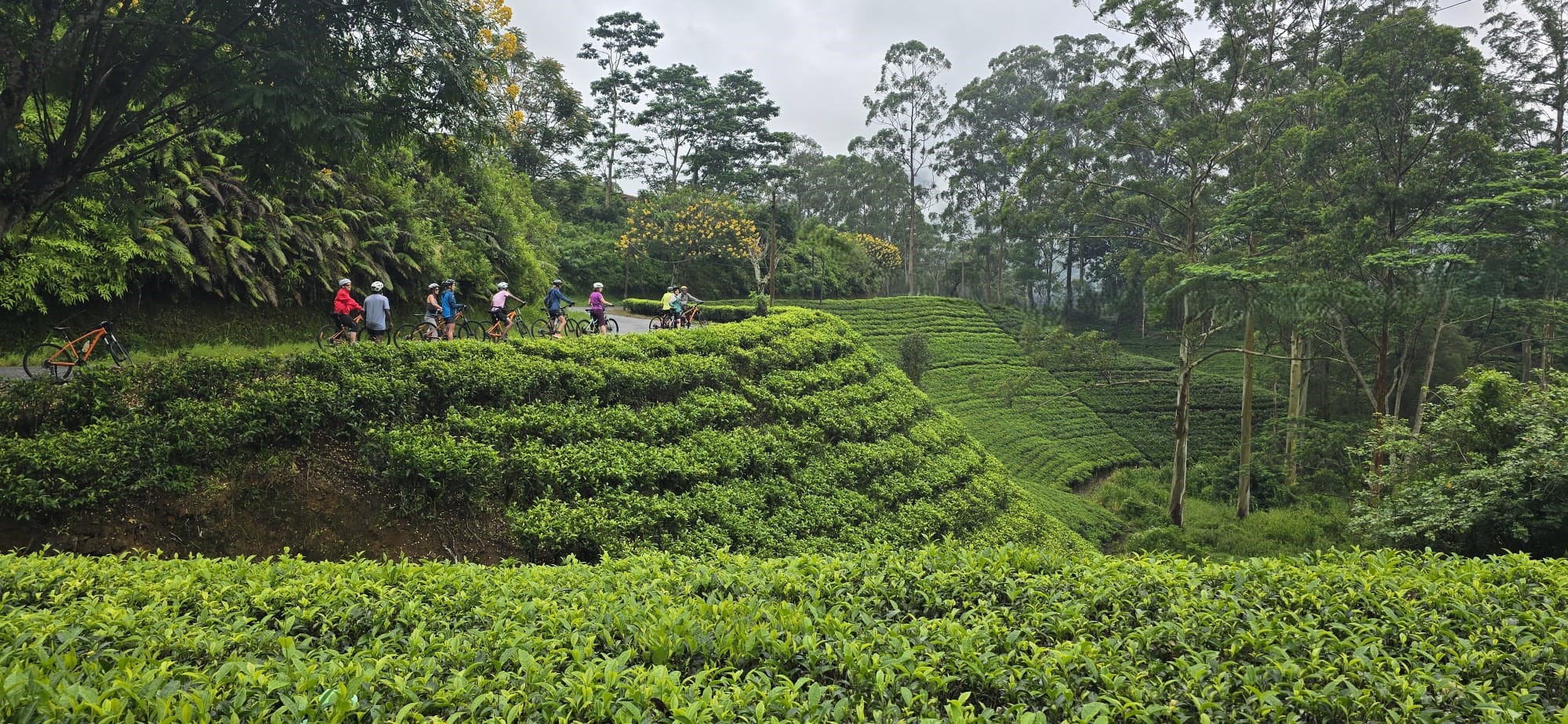 Extreme Cycling Adventure